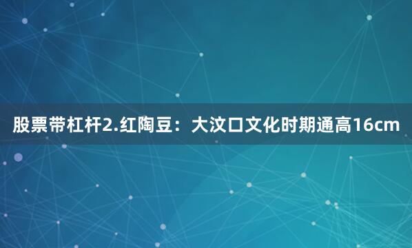 股票带杠杆2.红陶豆：大汶口文化时期通高16cm