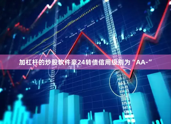 加杠杆的炒股软件豪24转债信用级别为“AA-”
